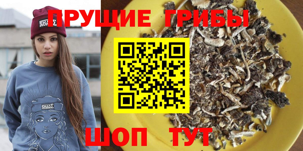 Псилоцибиновые грибы Magic Shrooms  Вход с VPN  Полевской 
